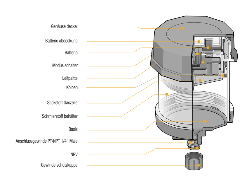 Cross-section