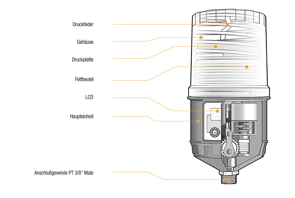 Cross-section