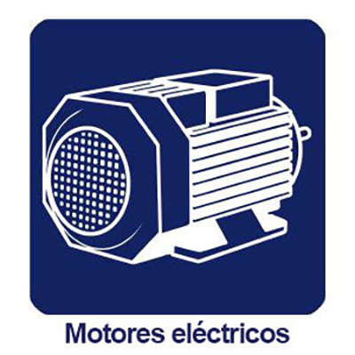 ELECTRIC MOTOR
